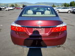 Honda Accord 2013