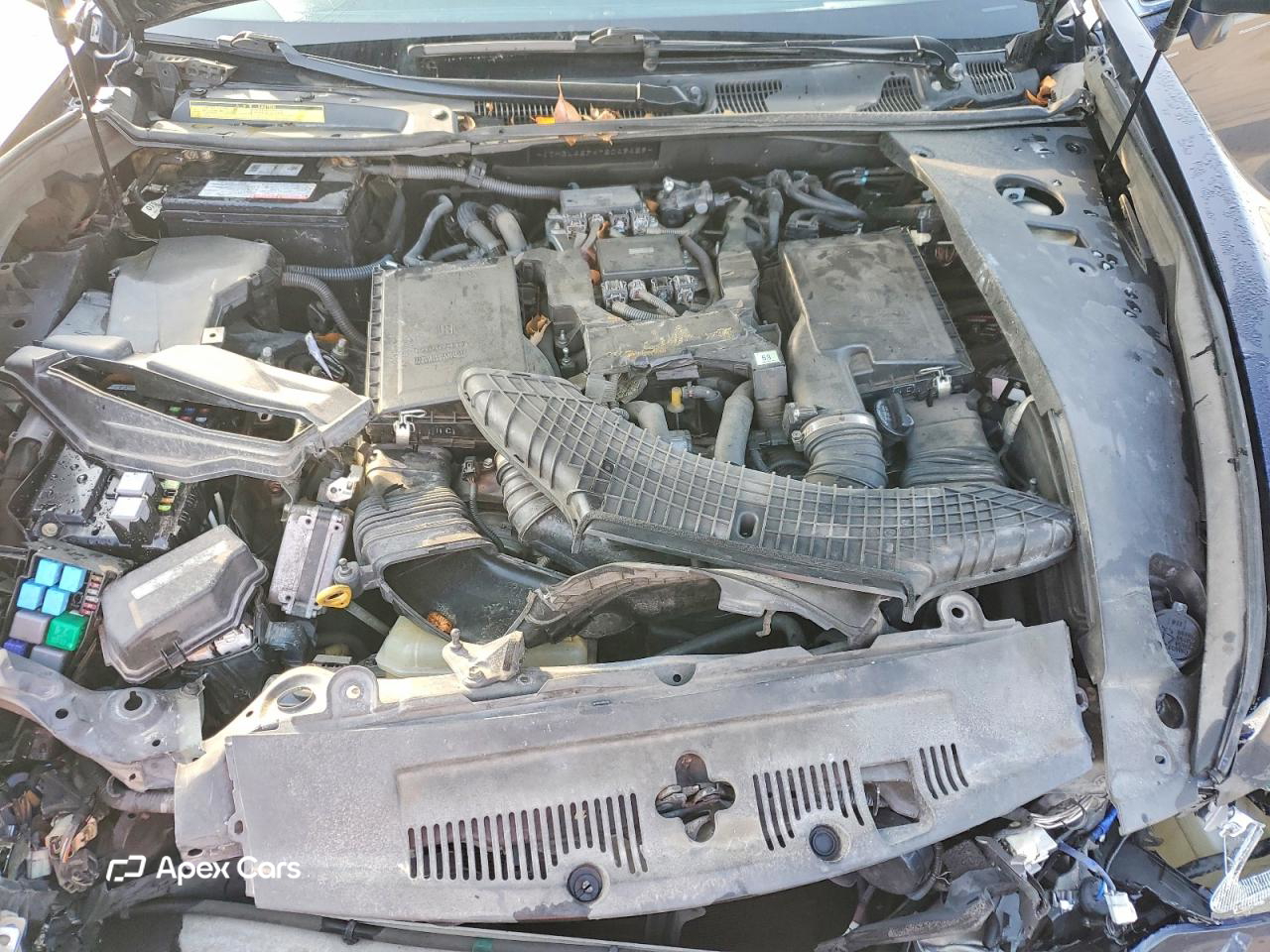 Lexus LS 2007