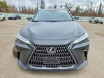 Lexus NX 2024