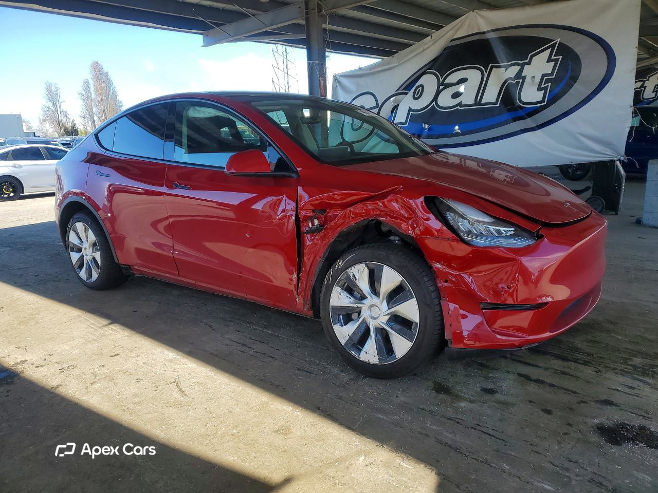 Tesla Model Y 2021