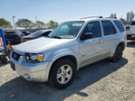 Ford Escape 2005