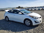 Hyundai Elantra 2016