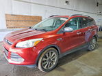 Ford Escape 2014