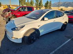 Tesla Model Y 2020
