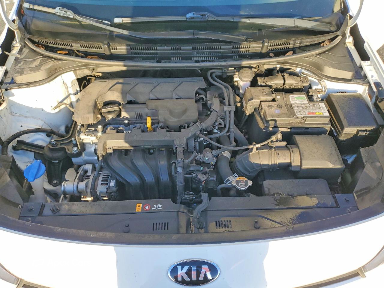 Kia Rio 2021