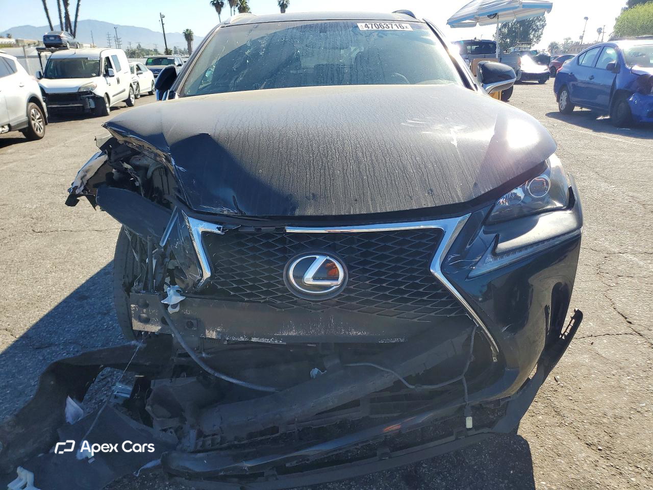 Lexus Caravan 2016