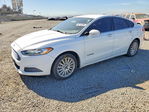 Ford Fusion 2013