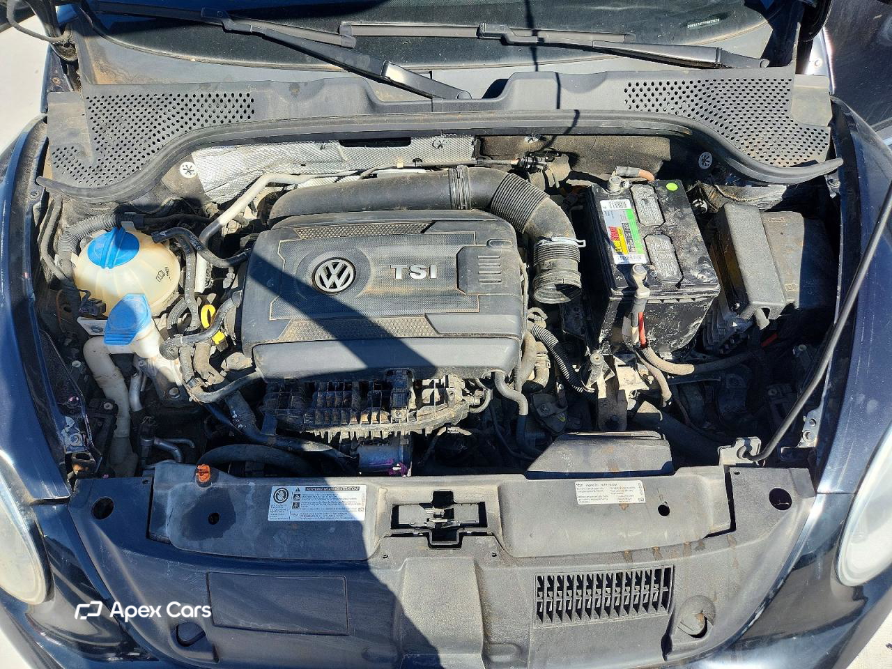Volkswagen Beetle 2015