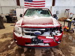 Ford Escape 2011