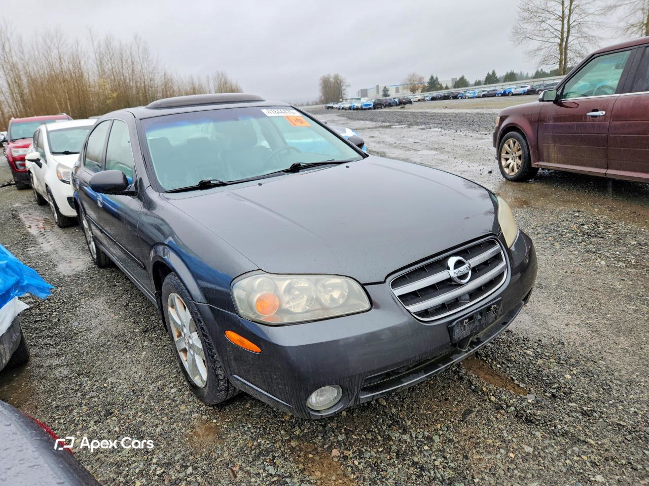 Nissan Maxima 2003