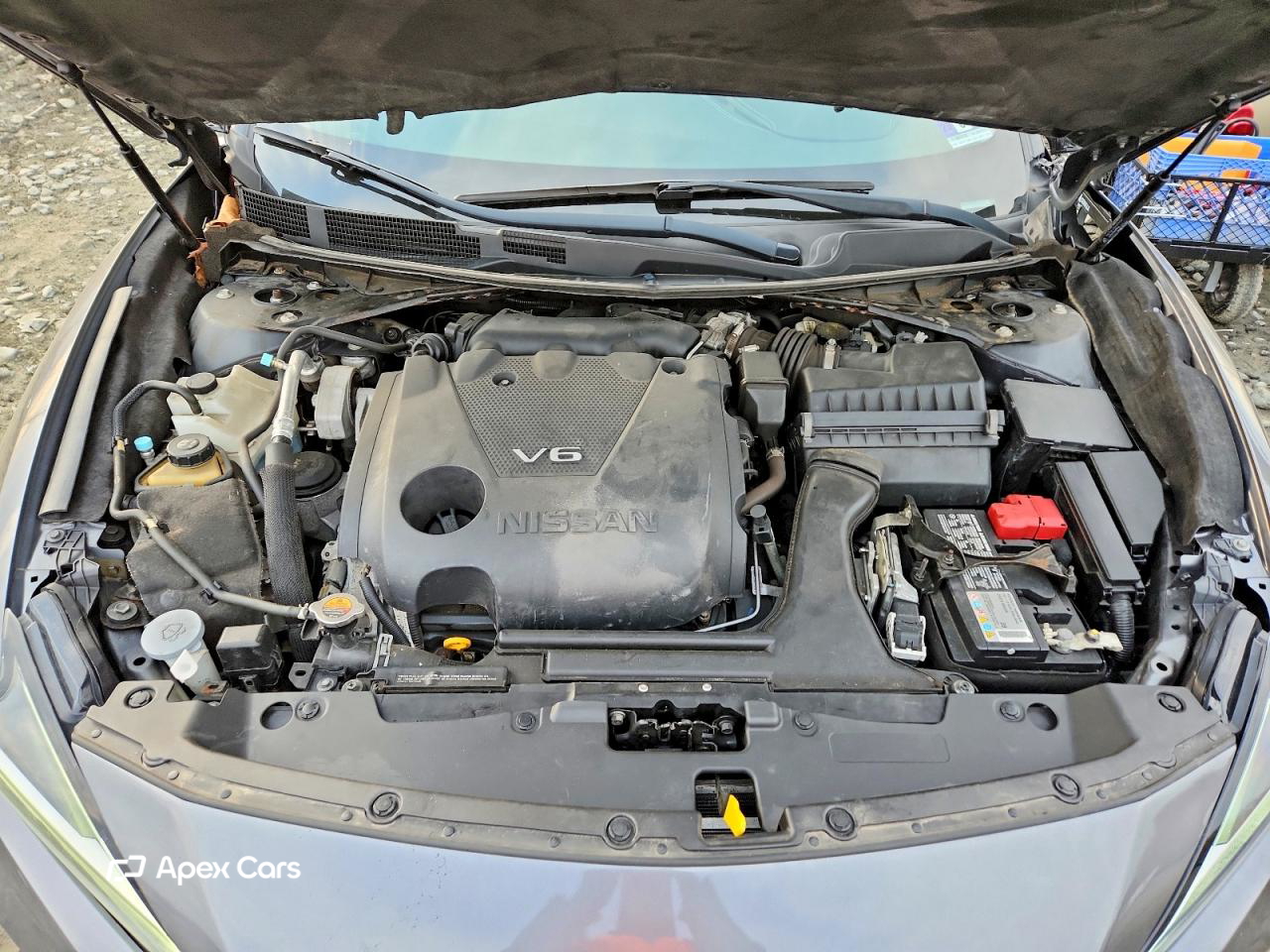 Nissan Maxima 2019