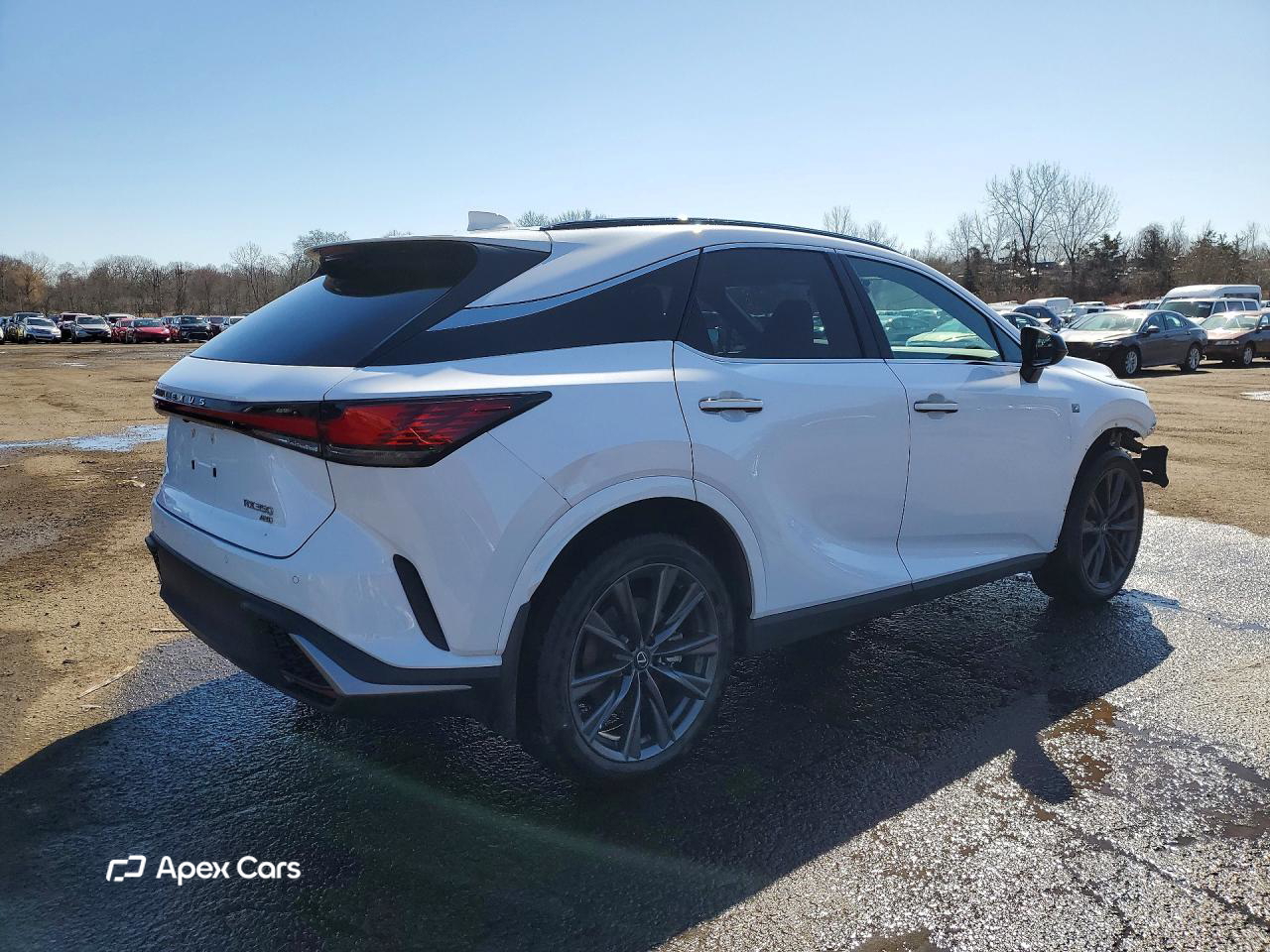 Lexus RX 2024