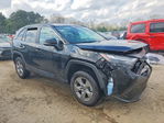 Toyota RAV 4 2024