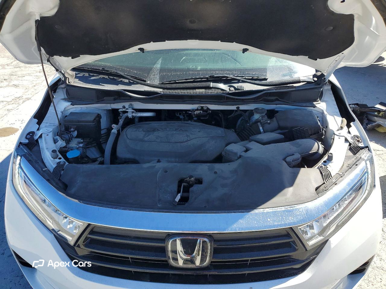 Honda Odyssey 2024