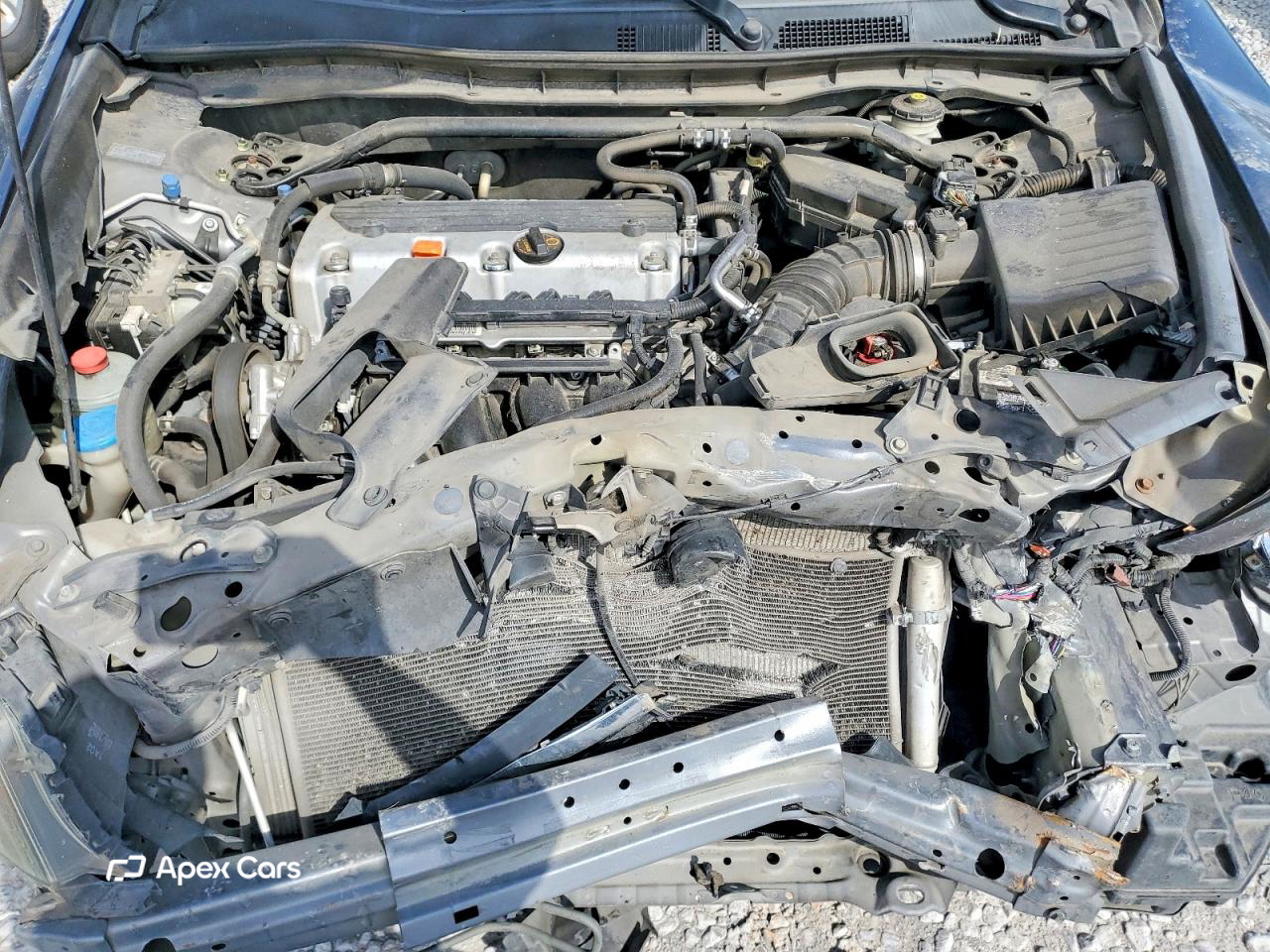Honda Accord 2011
