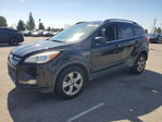 Ford Escape 2014