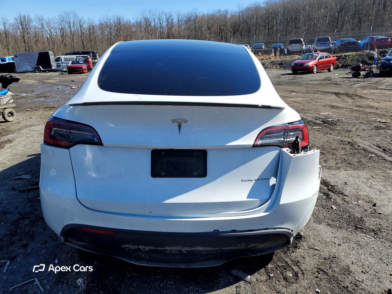 Tesla Model Y 2020