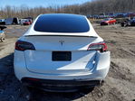 Tesla Model Y 2020