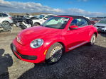 Volkswagen Beetle 2014