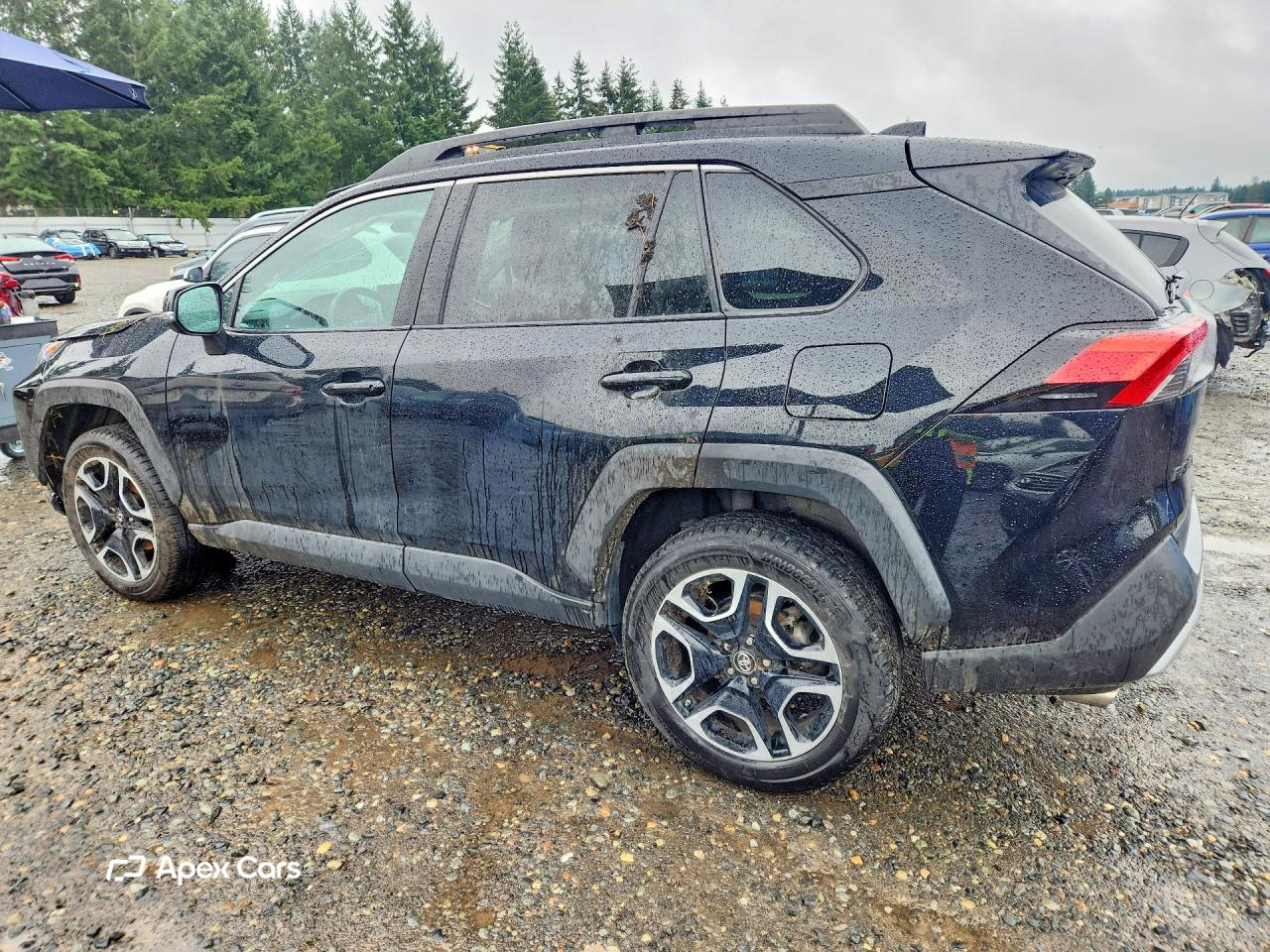 Toyota RAV 4 2019