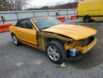 Ford Mustang 2012