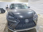 Lexus NX 2021