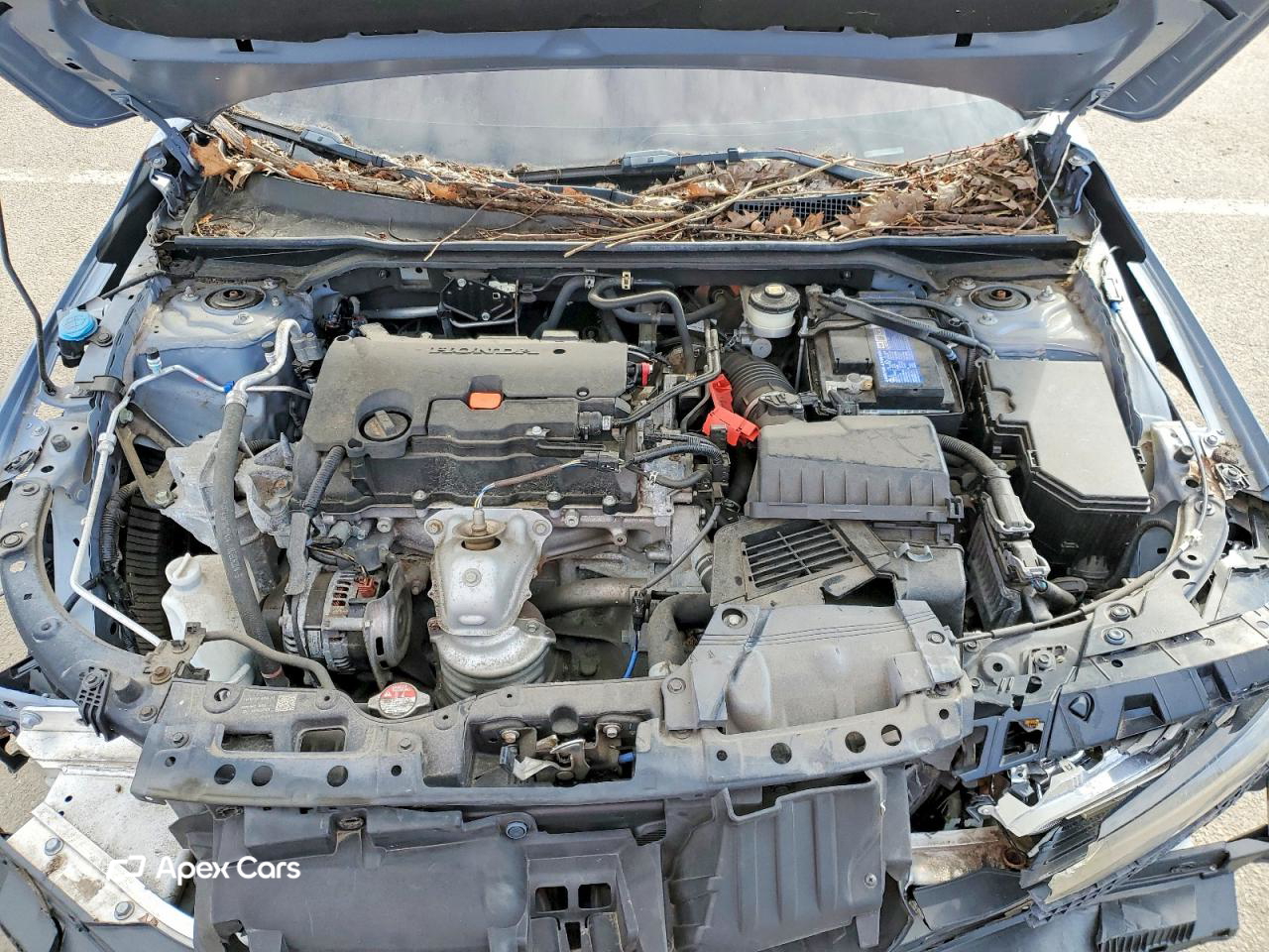 Honda Civic 2022