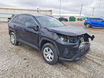 Toyota RAV 4 2020