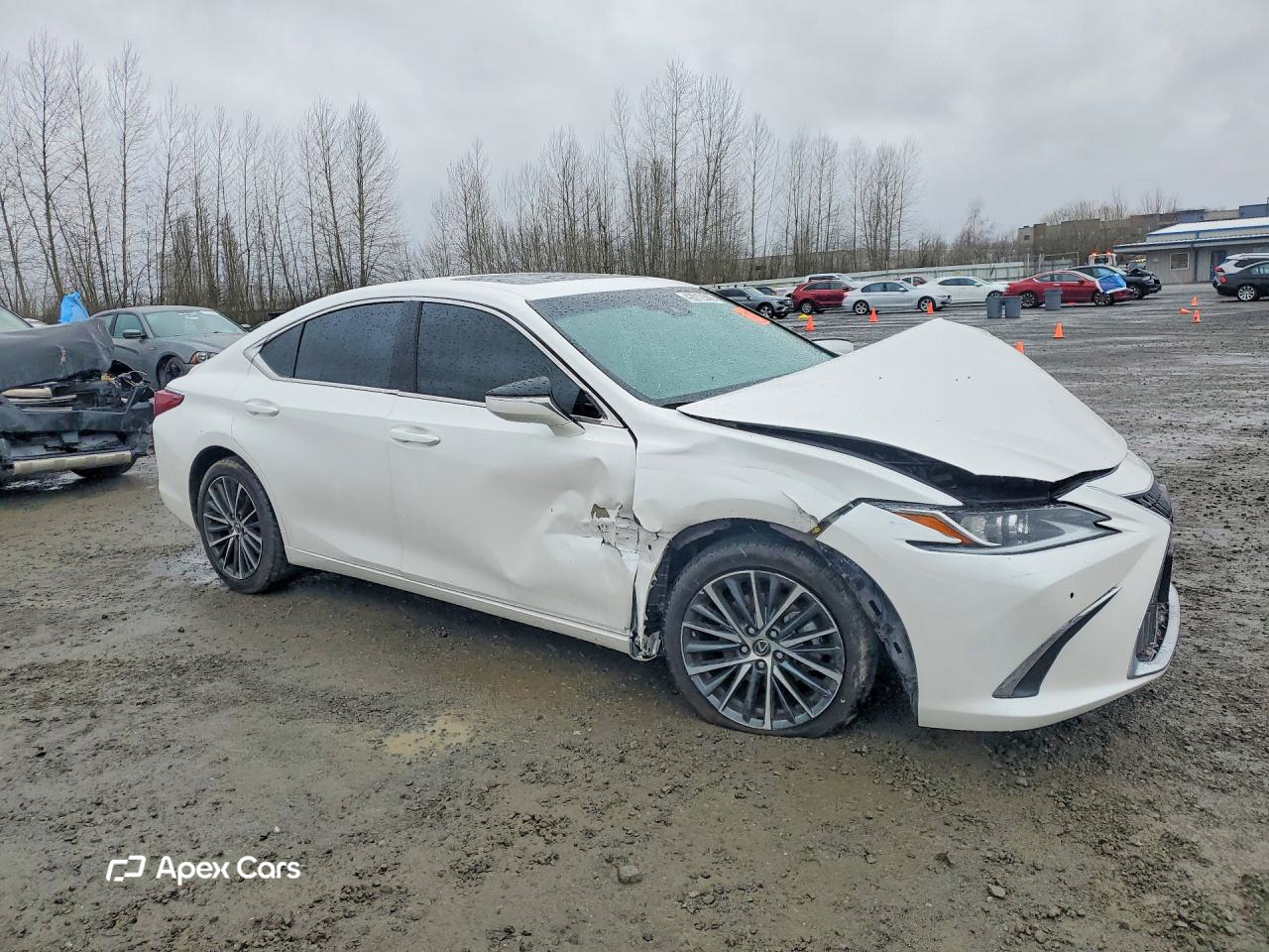 Lexus ES 2023