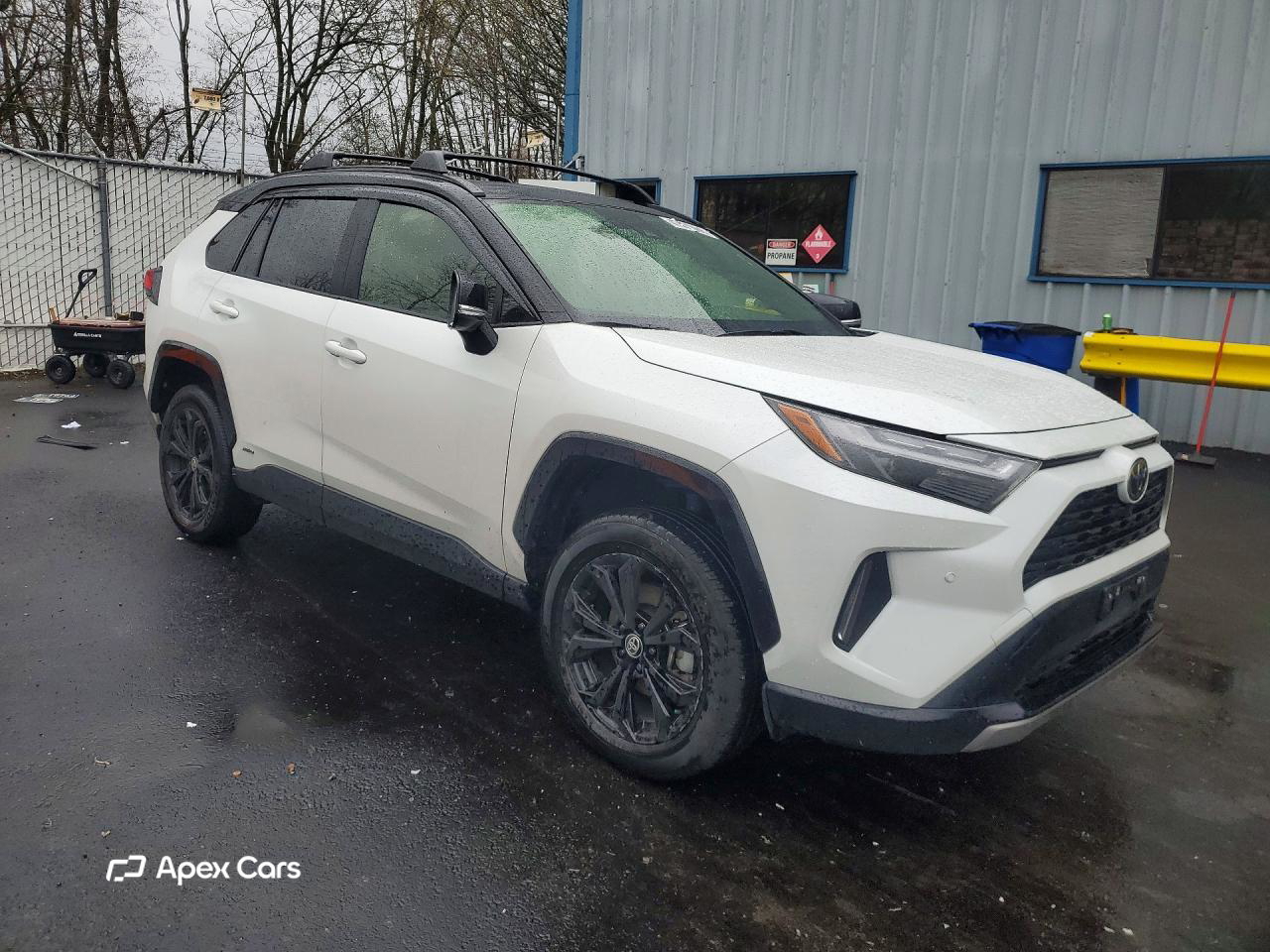 Toyota RAV 4 2025