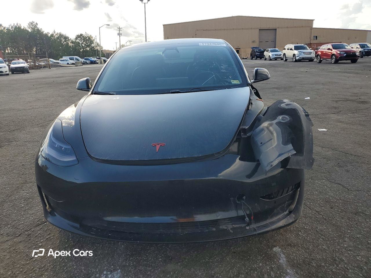 Tesla Model 3 2019