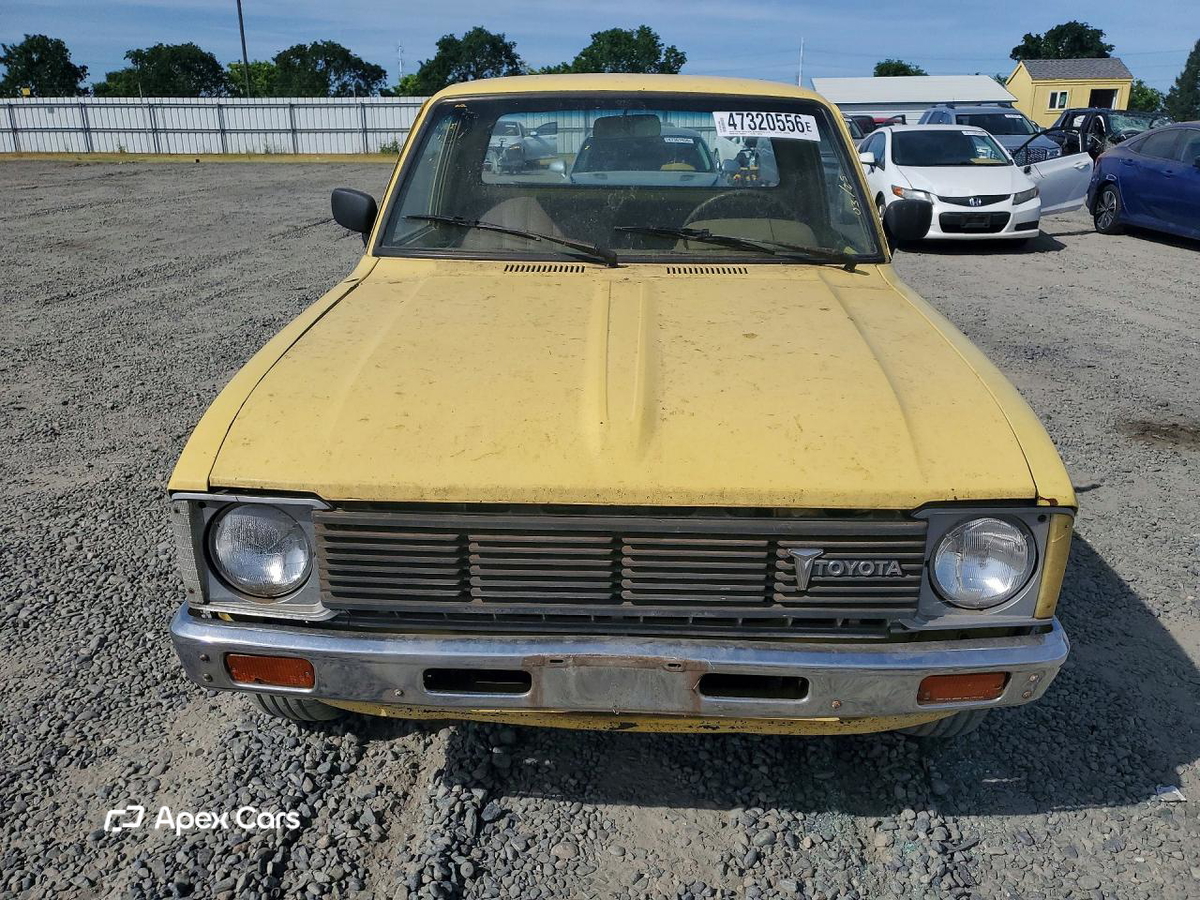 1981
