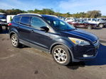 Ford Escape 2014