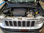 Jeep Renegade 2017