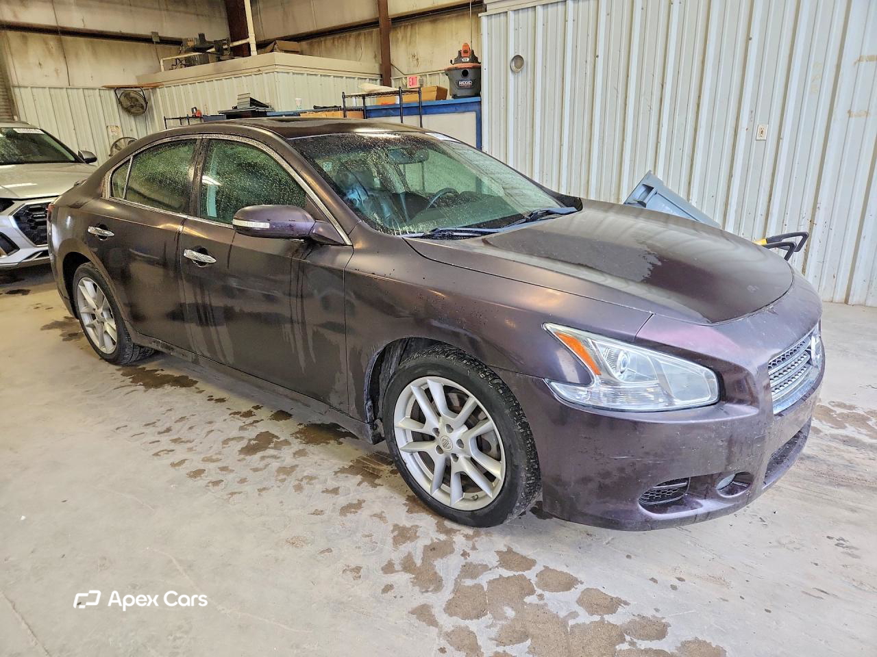 Nissan Maxima 2010