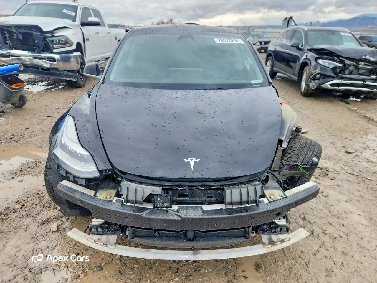Tesla Model 3 2020