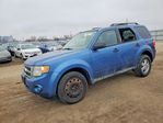Ford Escape 2010