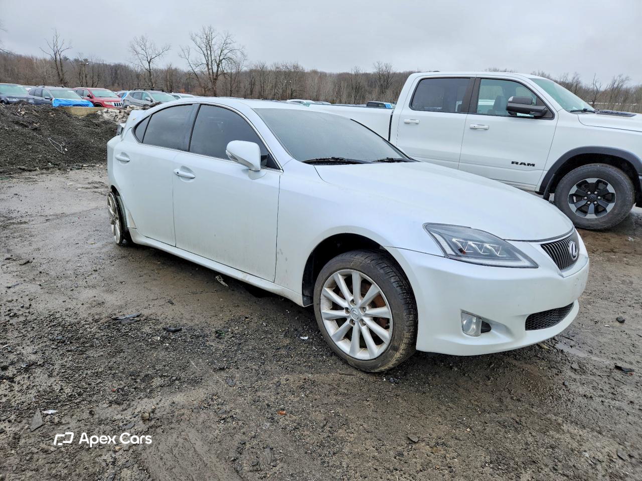 Lexus IS 2010