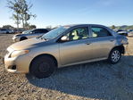 Toyota Corolla 2009