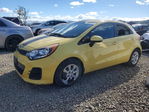 Kia Rio 2016