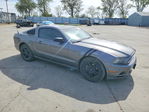 Ford Mustang 2013