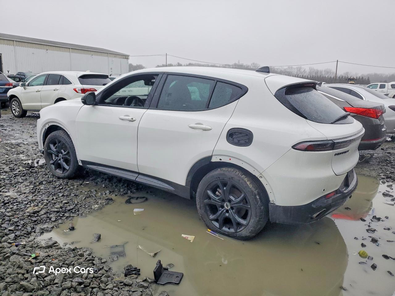 Dodge Hornet 2024