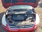 Ford Escape 2013