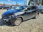 Lexus NX 2021