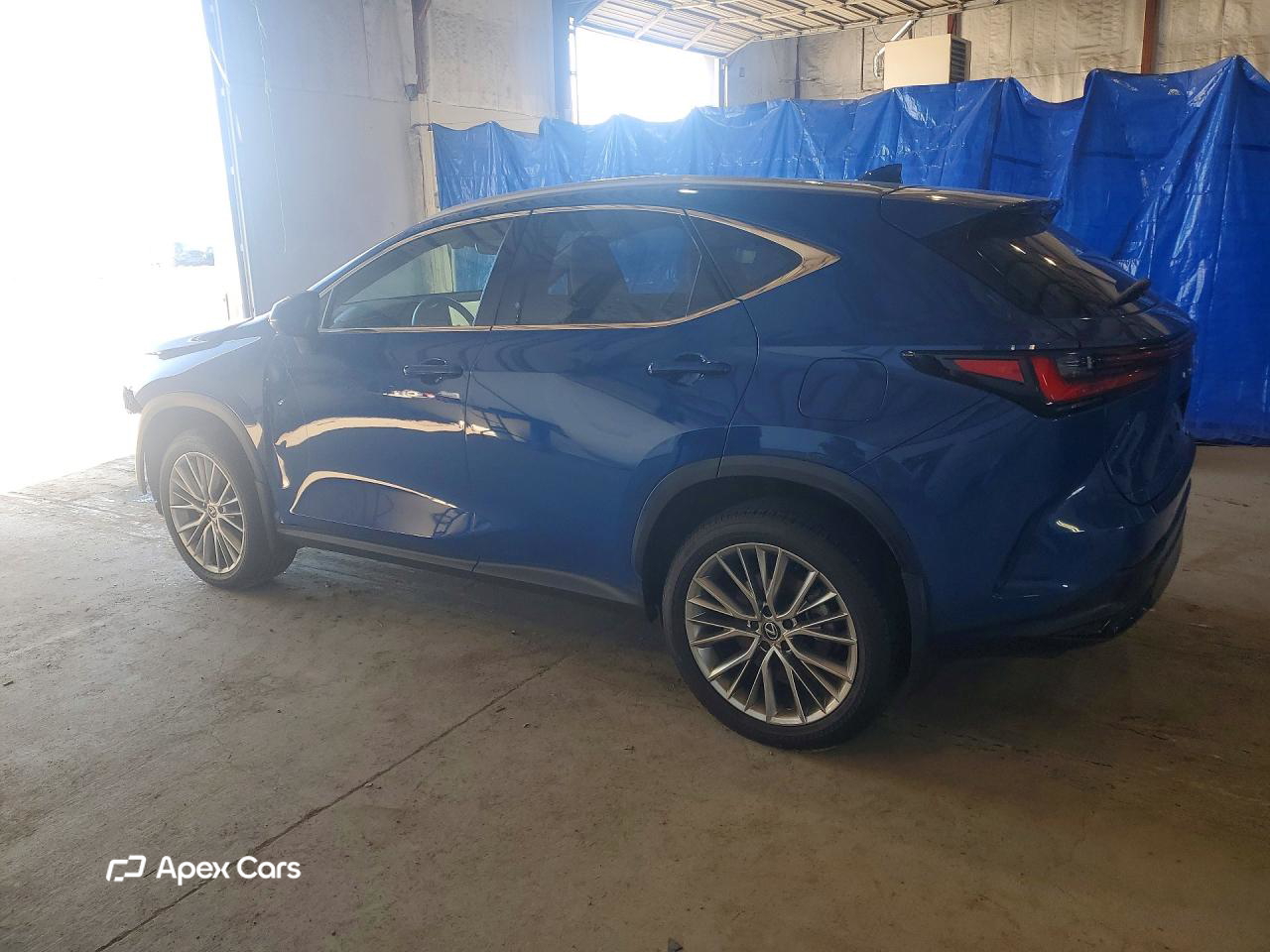 Lexus NX 2025