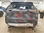 Toyota RAV 4 2025