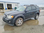 Ford Escape 2012