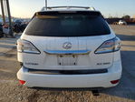 Lexus RX 2010