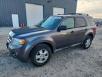 Ford Escape 2012
