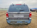 Ford Escape 2010